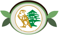 Al Seedawi Group Lebanese & Emirates Factory Co. L.L.C.